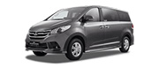 LDV G10 вэн